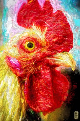 Gallery 3 - Richard Holcomb - Rooster