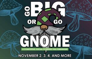 Go Big or Go Gnome Seeks Entries
