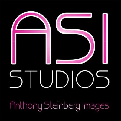 Anthony  Steinberg